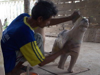 pottery-crafts-malo-19