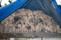 pottery-crafts-malo-26