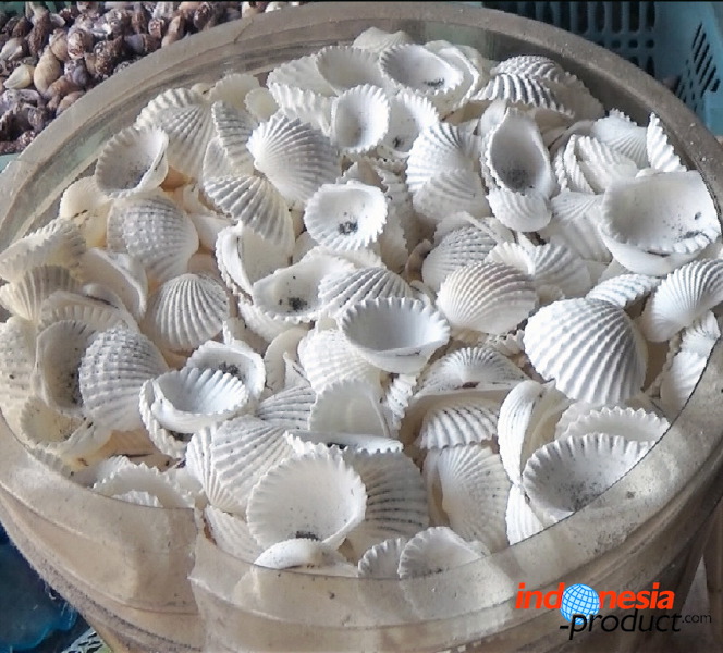 shell-crafts-05.jpg