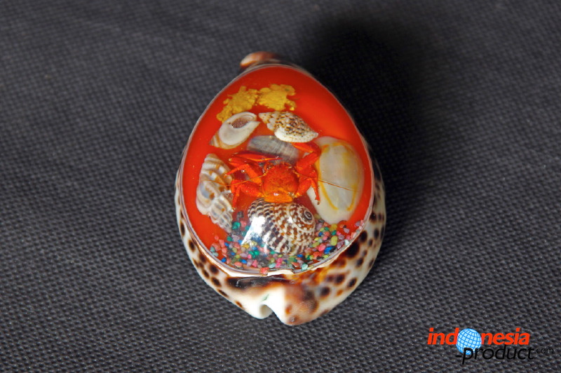 shell-crafts-15.jpg