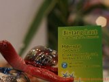 bintang-laut-5