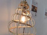lampoe-wentletrap-2