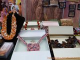 ypac&rotary-1