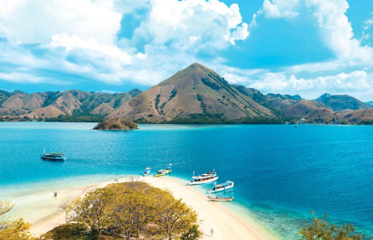 Komodo Open Trips 