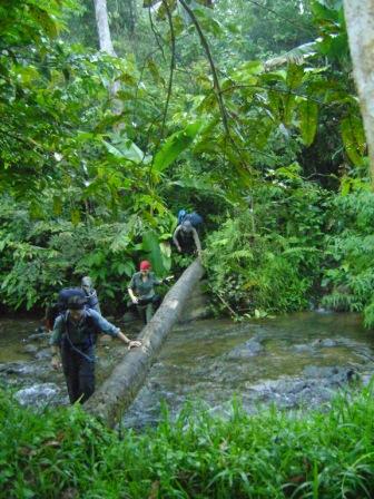 Borneo Eco Trekking Tours Indonesia