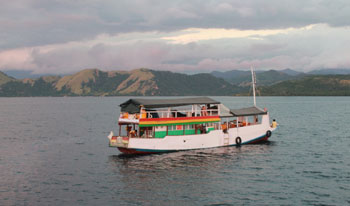 Komodo Eco Tour Indonesia