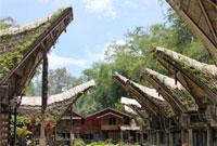 Astina Tour and Travel