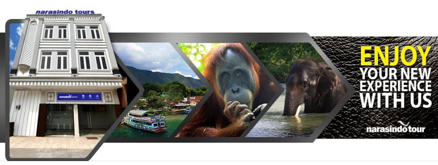 Narasindo Tour
