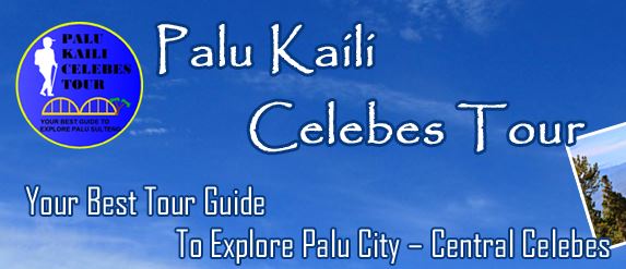 Palu Kaili Celebes Tour