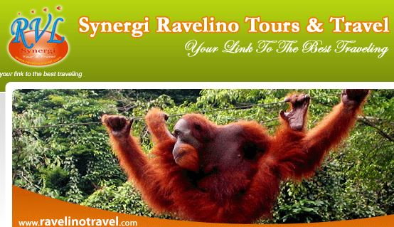 Synergi Ravelino Tours and Travel