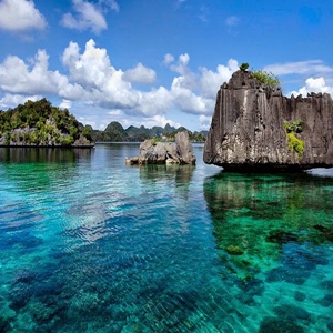 Raja Ampat Tour & Travel
