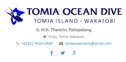 Tomia Ocean Dive