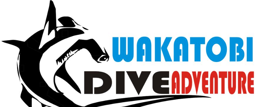 Wakatobi Dive Adventure
