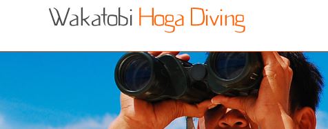 Wakatobi Hoga Diving