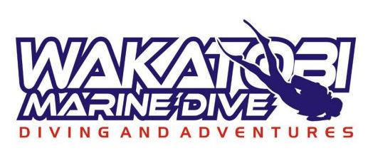 Wakatobi Marine Dive