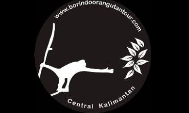 Borindo Boat Orangutan Tanjung Puting