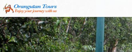 Dolphindo CV Orangutan Tour Tanjung Puting