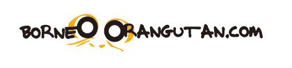 Primata Borneo Orangutan Tour