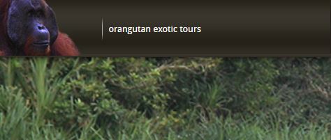 Kalpataru Adventures