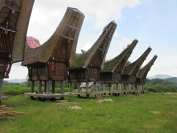 Tari Travel - Tapak Rimba Indonesia