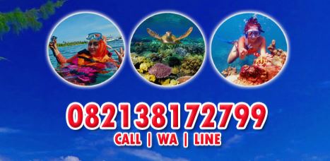 Tim Visit Karimunjawa