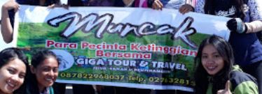 Giga Tour and Travel