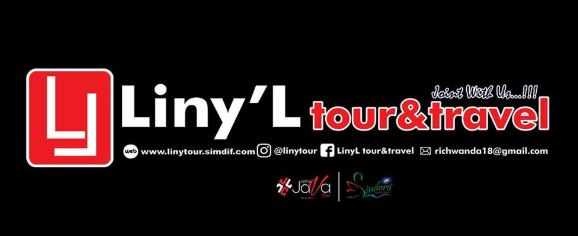 Linyl Tour