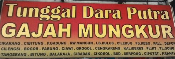 Tunggal Dara Putra