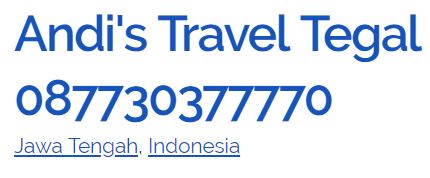 Andis Travel Tegal