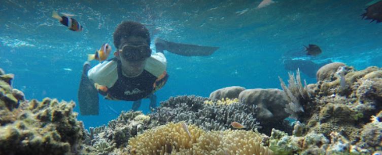 Mamuju Snorkeling