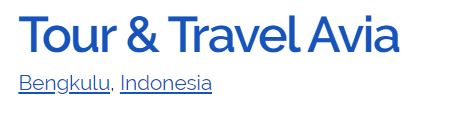 Tour and Travel Avia
