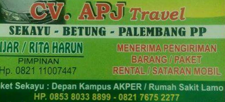 APJ Travel