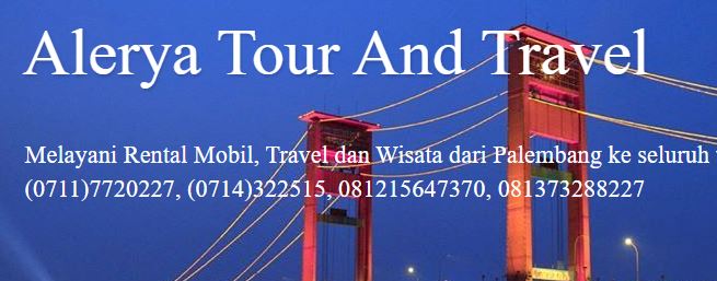 Alerya Tour and Travel