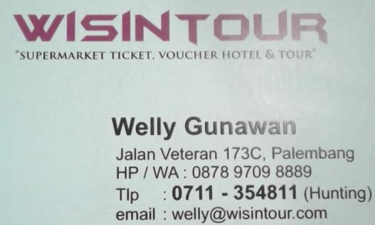 Wisin Tour and Travel