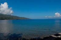 truly-asia-ambon-co_1dfb3b6