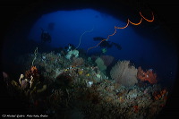 truly-asia-ambon-un_1dfb3b8