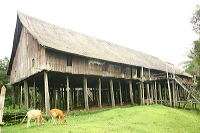truly-asia-betang_h_1dfb3f5
