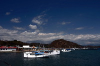truly-asia-flores_d_1dfb415