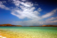 truly-asia-flores_s_1dfb416