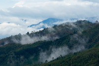 truly-asia-kerinci__1dfb432
