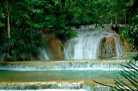 truly-asia-morame_w_1dfb46c