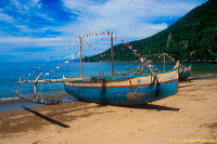 truly-asia-olele_be_1dfb41d