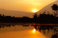 truly-asia-sunset_a_1dfb494