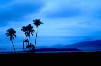 truly-asia-the_dawn_1dfb434