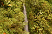 truly-asia-the_nuan_1dfb435