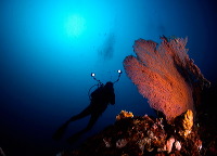 truly-asia-wide-blu_1dfb3c0