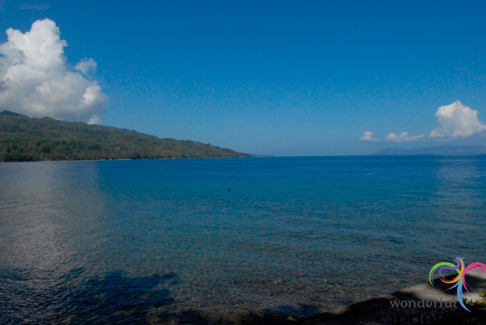 truly-asia-ambon-co_1dfb3b6.jpg