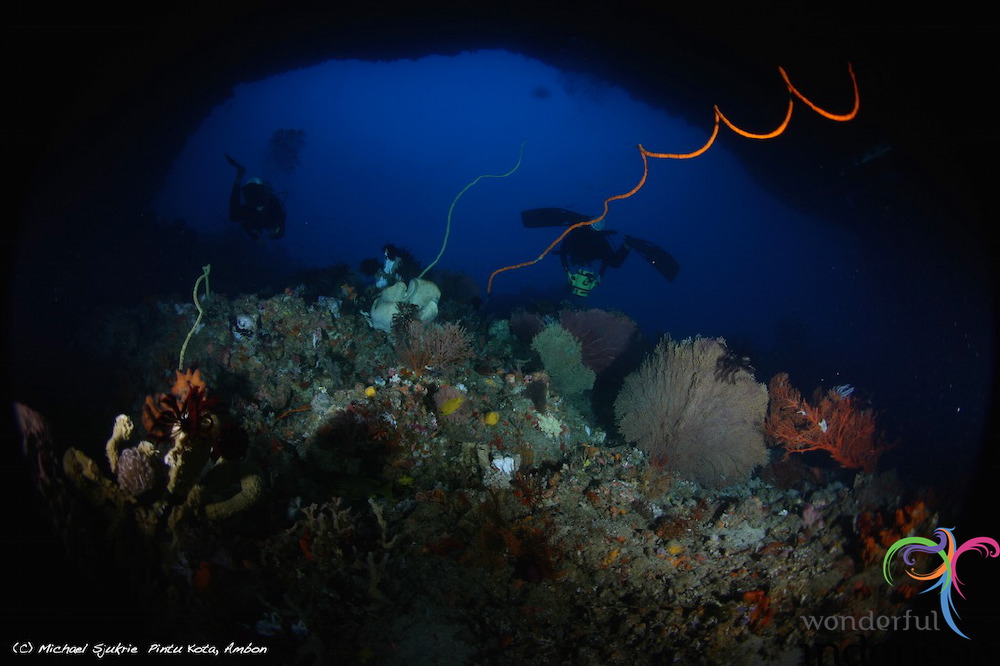 truly-asia-ambon-un_1dfb3b8.jpg