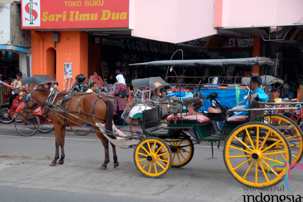 truly-asia-andong___1dfb4a4.jpg