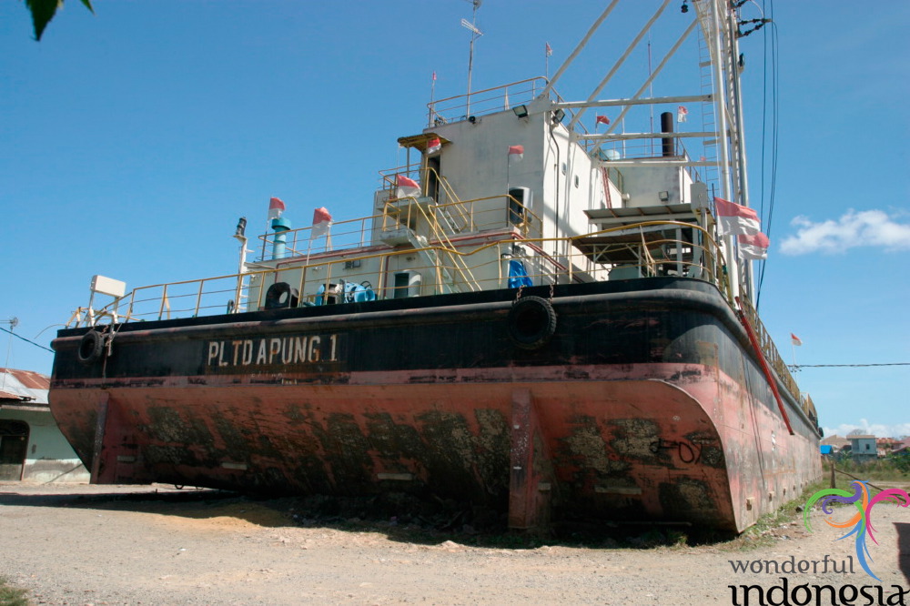 truly-asia-diesel_p_1dfb441.jpg